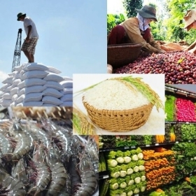 Humic acid có tác dụng gì?